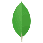 Wir nutzen NoSQL Datenbanken wie MongoDB